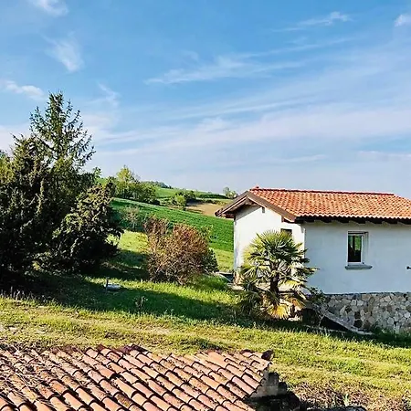 Cento Giorni Dall'artista *