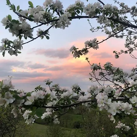 Cento Giorni Dall'artista