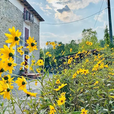 Cento Giorni Dall'artista シャレー